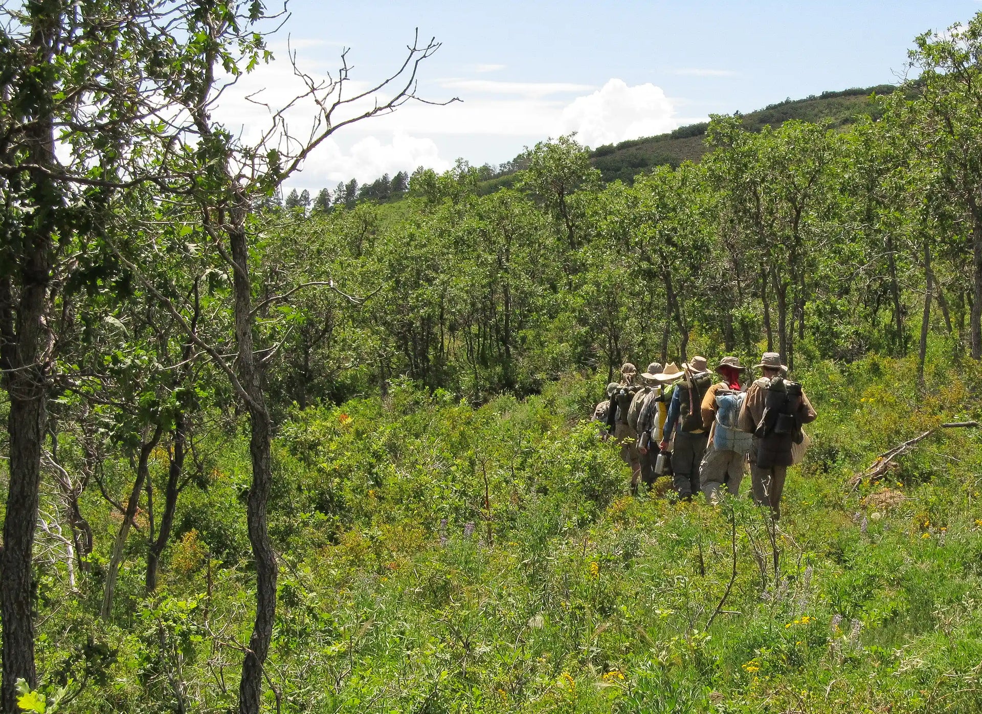 J-155 - 14 Day Field Expedition