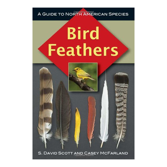 Bird Feathers book