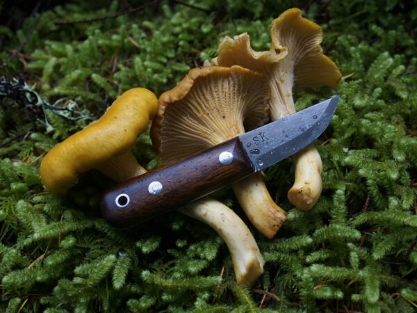 Sacha Puukko Mini with Chantarelle Mushrooms